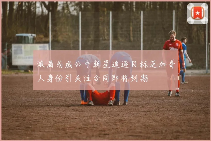 浓眉或成公牛新星追逐目标芝加哥人身份引关注合同即将到期