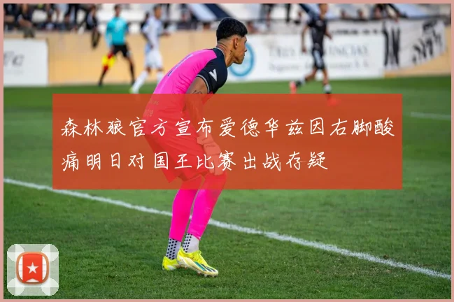森林狼官方宣布爱德华兹因右脚酸痛明日对国王比赛出战存疑