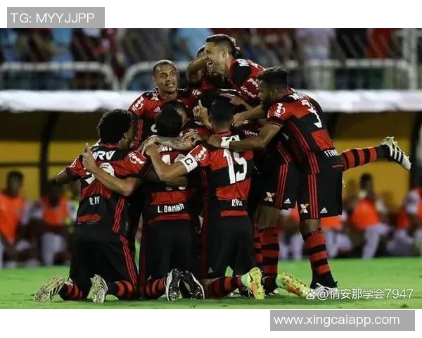 弗鲁米嫩塞大胜锁定巴甲前七名资格争夺明年解放者杯席位希望大增 弗鲁米嫩塞大胜锁定巴甲前七名资格争夺明年解放者杯席位希望大增