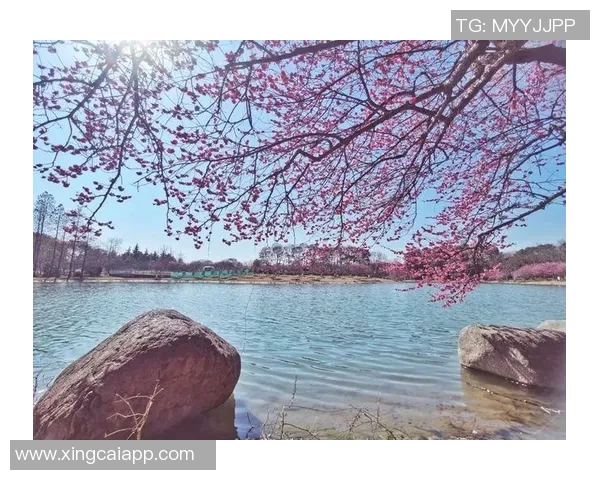 克莱深情命名小船冬梅展现爱的执着与温暖