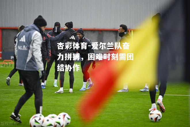 爱尔兰队奋力拼搏，困难时刻需团结协作