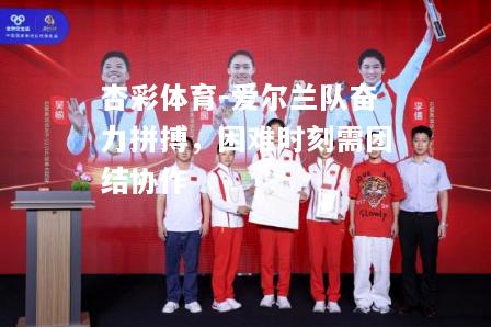 爱尔兰队奋力拼搏，困难时刻需团结协作