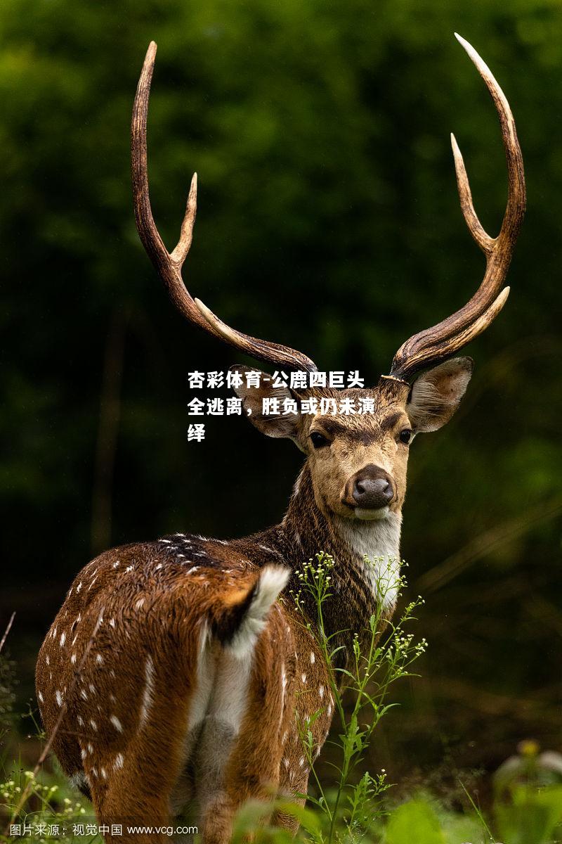 公鹿四巨头全逃离，胜负或仍未演绎